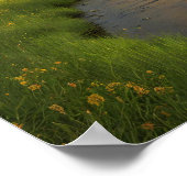 Poster Arc en ciel après la douche (Coin)