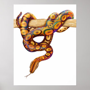 Poster Arc-en-ciel Boa Snake Print