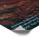 Poster Arc en ciel Bodhisattva/Poster (Coin)