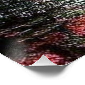 Poster arc-en-ciel céleste (Coin)