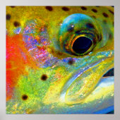 Poster "Arc en ciel céleste" (Devant)