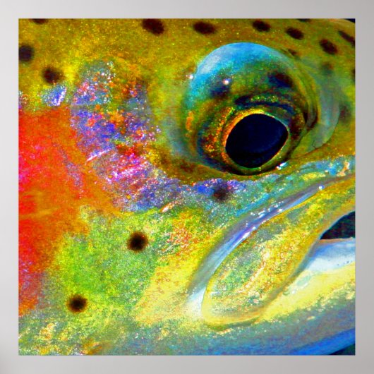 Poster "Arc en ciel céleste" (Devant)