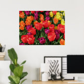 Poster Arc-en-ciel des tulipes (Bureau à domicile)
