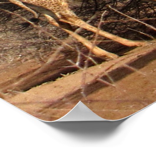 Poster arc-en-ciel et girafe / Imprimer (jusqu'à 3 (Coin)