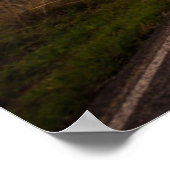 Poster Arc En Ciel Et Route (Coin)