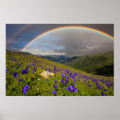 Poster Arc En Ciel Sur Un pré Fleuri (Devant)