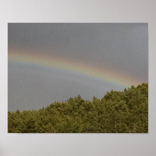 Poster Arc-en-ciel surnuméraire, au-dessus de la forêt à (Devant)