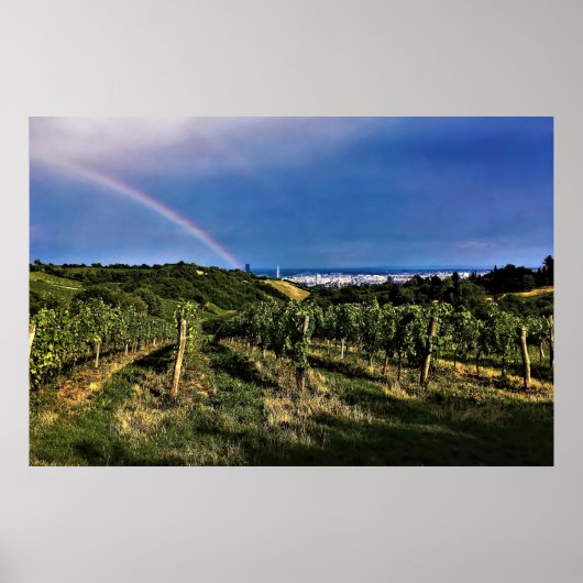 Poster Arc-en-ciel viticole de Vienne (Devant)