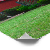 Poster Arcadia Round Grn (Coin)