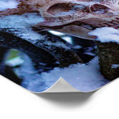 Poster Arcane Hiver I (Coin)