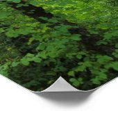 Poster "Arch", forêt d'Alder (Coin)