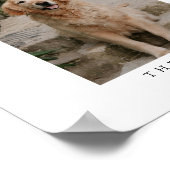 Poster Arch Pet Photo Signature Boire Bar Mariage Signer (Coin)