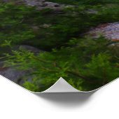 Poster Arch Rock Île Mackinac (Coin)