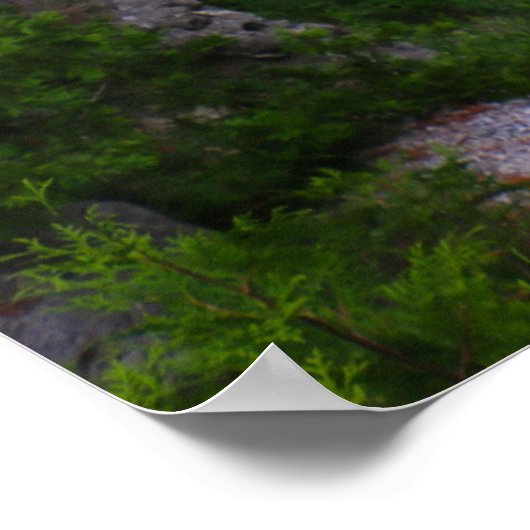 Poster Arch Rock Île Mackinac (Coin)