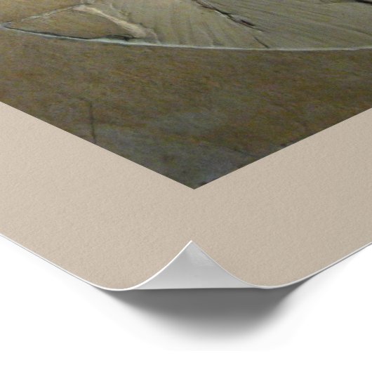 Poster Archaeopteryx (Coin)