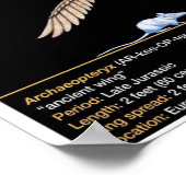 Poster Archaeopteryx - Jurassic Dinosaur Biology (Coin)