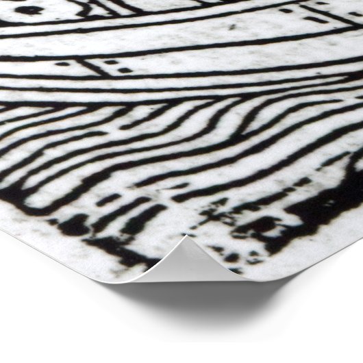 Poster Arche de Noé (Coin)