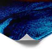 Poster Arche de Noé (Coin)