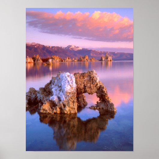 Poster Arche de Tufa au lac Mono (Devant)
