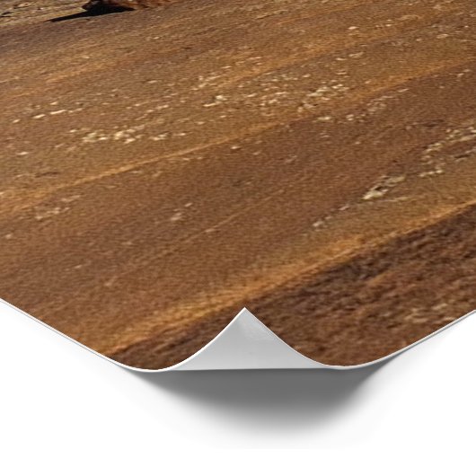 Poster Arche délicate (Coin)