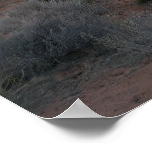 Poster Arche du tunnel le matin (Coin)