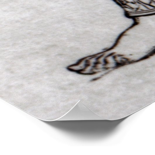 Poster Archer (Coin)