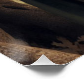 Poster Archer d'elfe Imaginaire reposant dans la forêt de (Coin)