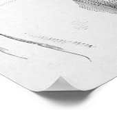 Poster Archer monté (Coin)