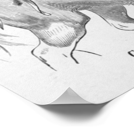 Poster Archer monté (Coin)