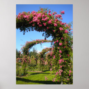 Poster Arches de Jardin rose du parc Elizabeth