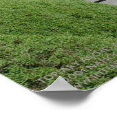 Poster Arches de Topiary à Zarcero, Costa Rica (Coin)