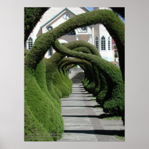 Poster Arches de Topiary à Zarcero, Costa Rica