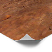 Poster Arches Slickrock et soir Primrose Paysage (Coin)