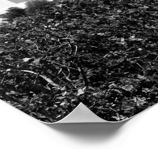 Poster Architecture au Getty Center en noir et blanc (Coin)