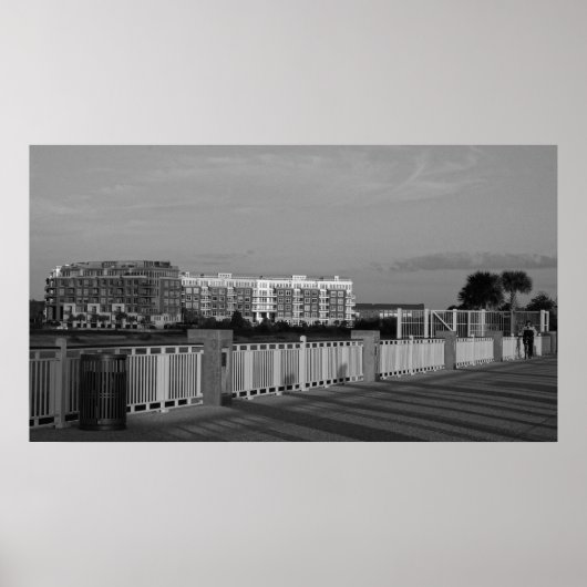 Poster Architecture au pont Ravenel (Devant)