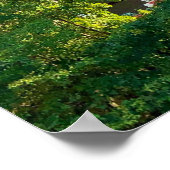 Poster Architecture coloniale mexicaine Mazatlan (Coin)