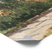 Poster Architecture vintage Jardin Formel Anglais Cottage (Coin)