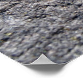 Poster Arco da calheta (Coin)