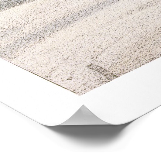 Poster Arctic Fox, from 'Narrative of a Second voyage in (Coin)