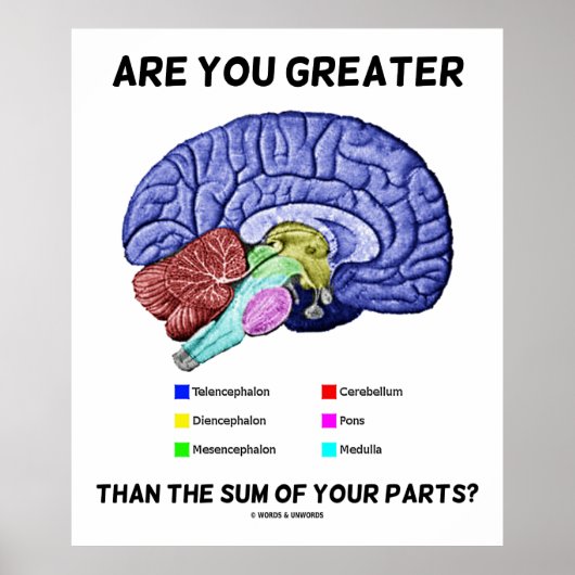 Poster Are You Greater Than The Sum Of Your Parts ? Brain (Devant)