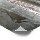 Poster Arena (Coin)