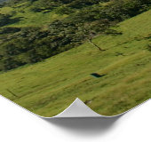 Poster Arenal Volcano Costa Rica (Coin)