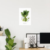 Poster Arenga sacchifera (Bureau à domicile)