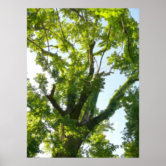 Poster Arête supérieure (Devant)