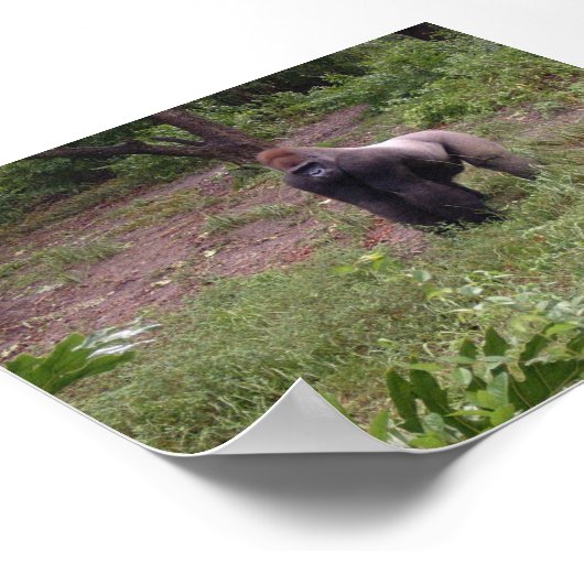 Poster Argent arrière (Coin)