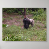 Poster Argent arrière (Devant)