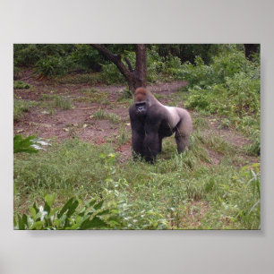 Poster Argent arrière