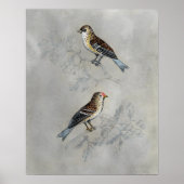 Poster Argent | Deux oiseaux (Devant)