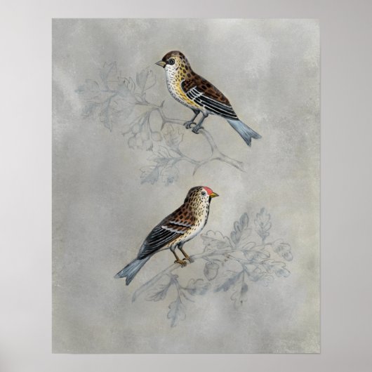 Poster Argent | Deux oiseaux (Devant)
