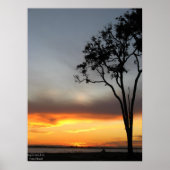 Poster argent et or (Devant)